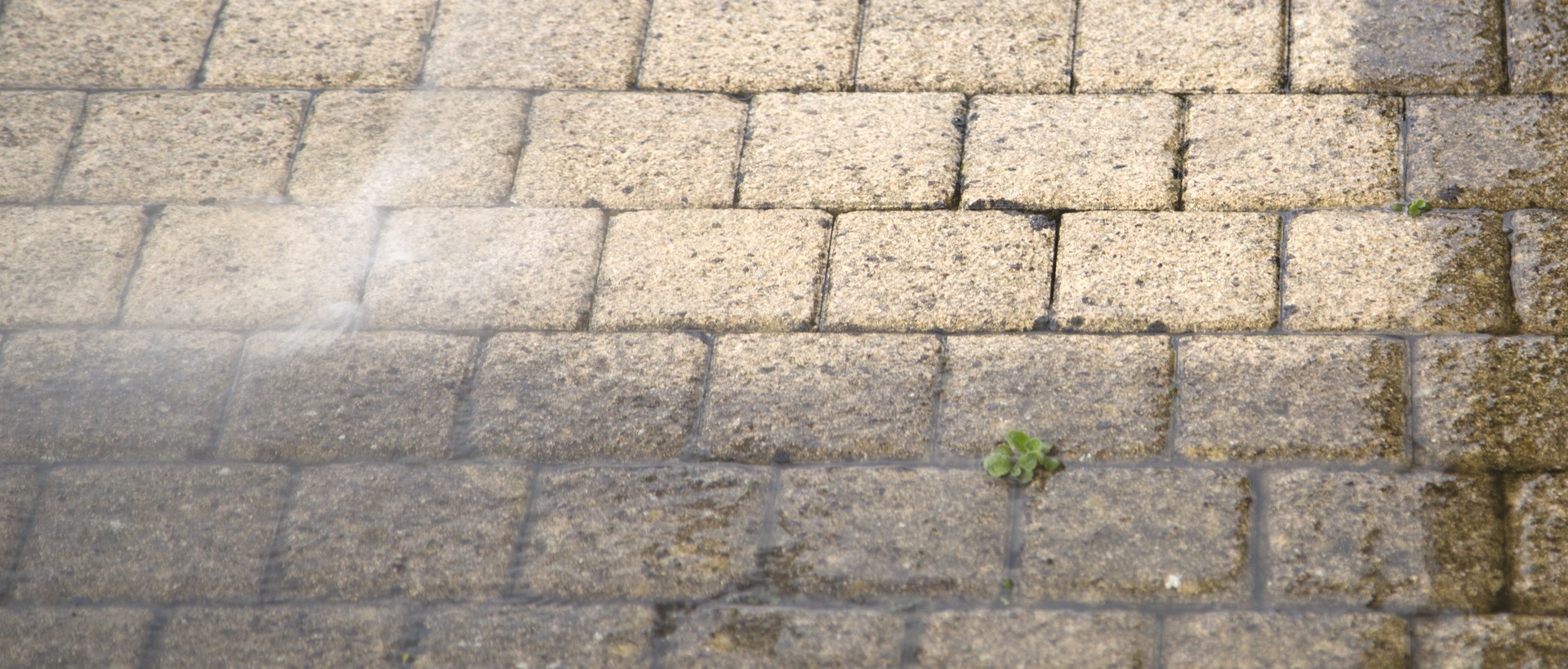 flagging and patios BR8