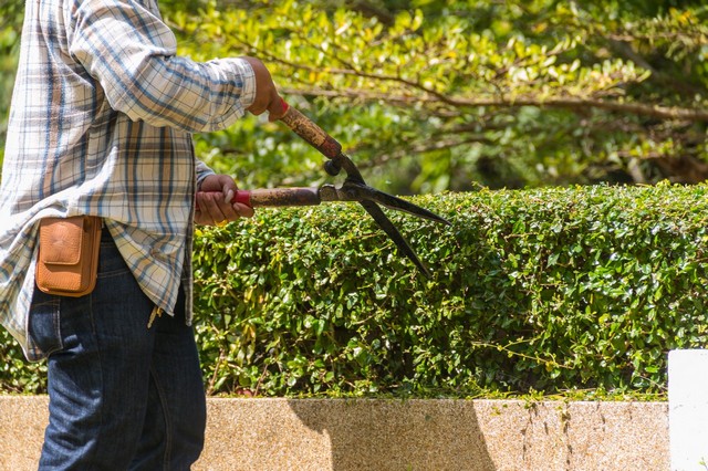 Garden Maintenance Swanley, Hextable, Crockenhill, BR8